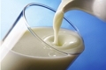 Об обнаружении остаточного количества метронидазола в молоке 