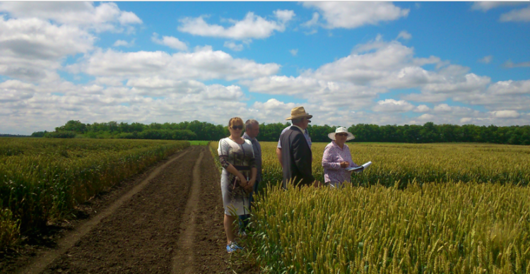 Итоги работы участка грунтового контроля за первое полугодие 2016 г 