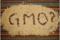 В корме обнаружены ГМО