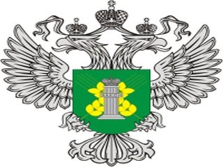 О участии в видеоконференции