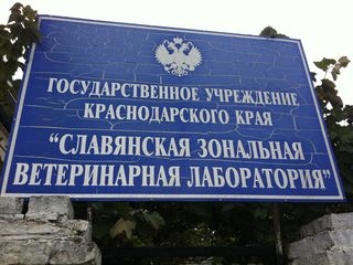 О участии в плановой выездной проверке