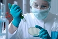 О выделении культур Staphylococcus epidermidis, Bacillus spp.