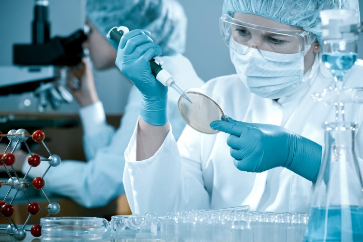 При исследовании мяса птицы обнаружены бактерии рода Salmonella