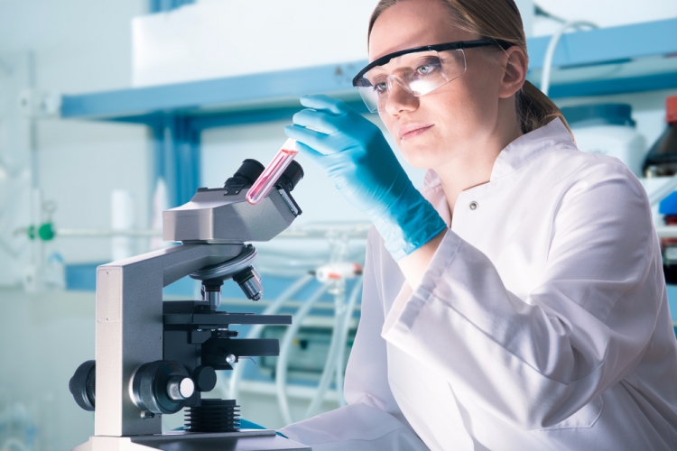 Выделена условно-патогенная и патогенная культура Staphylococcus haemolyticus