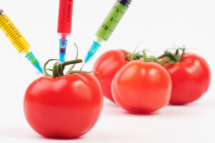 Содержится ли ГМО в пищевом продукте?