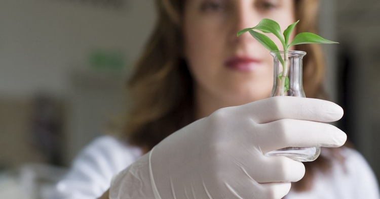 Итоги работы отдела лабораторной экспертизы карантина растений за февраль 2020 года