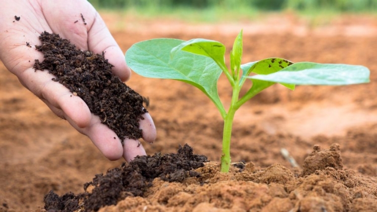 Агрохимическое обследование почв – залог высоких урожаев!