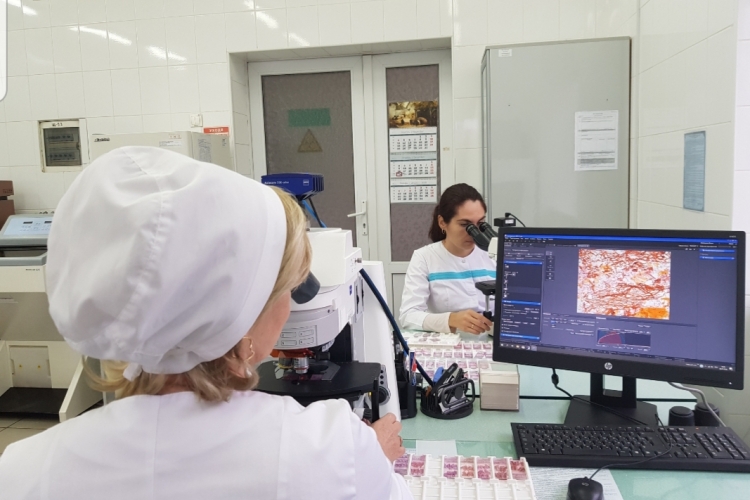Дифференциальная гистологическая диагностика новообразований у животных