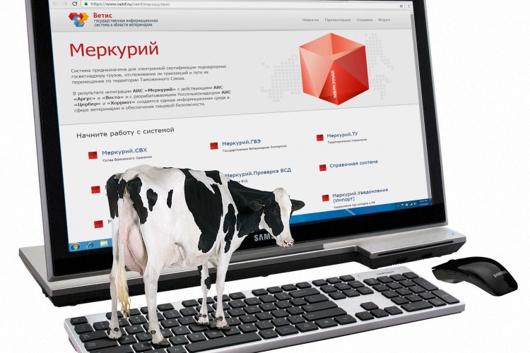 Учебный центр приглашает на обучение по работе в системе "Меркурий.ХС"