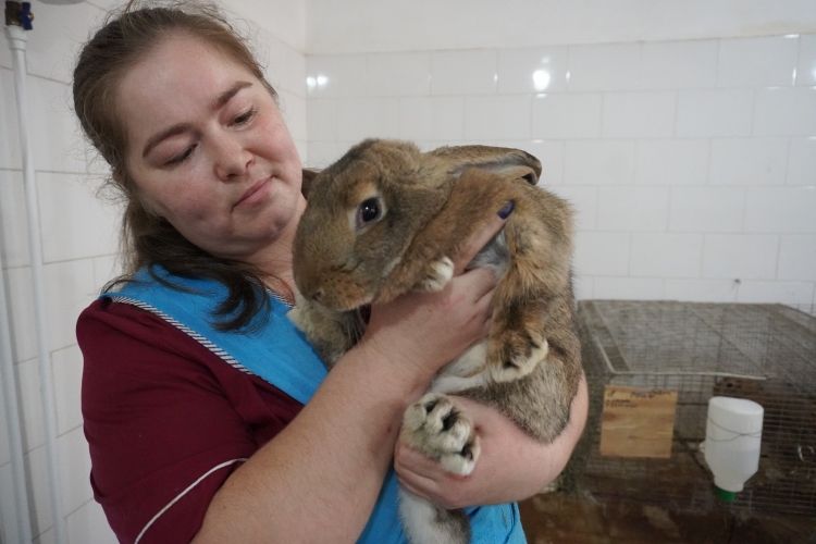 Лабораторные животные – важная составляющая научной работы