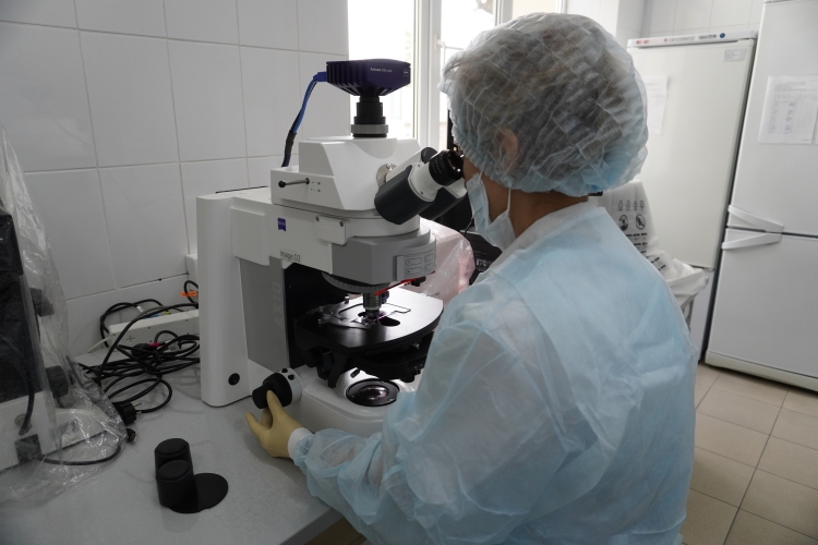 Причиной пиодермии у собаки стала инфекция