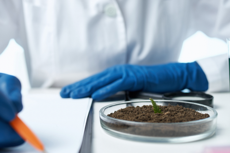 В октябре специалисты отдела агрохимии и радиологии провели 503 исследования почвы