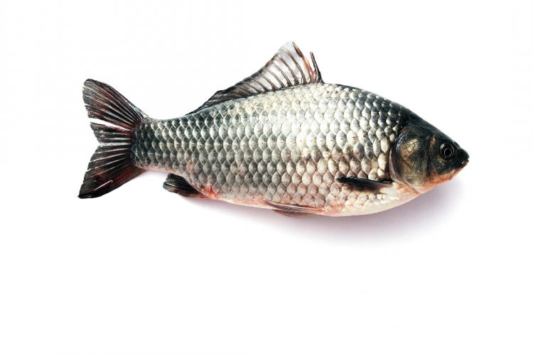 Своевременная диагностика заболеваний позволяет снижать затраты