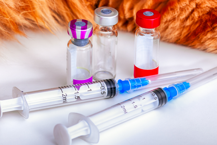 Чистота и вакцинация – меры профилактики калицивироза