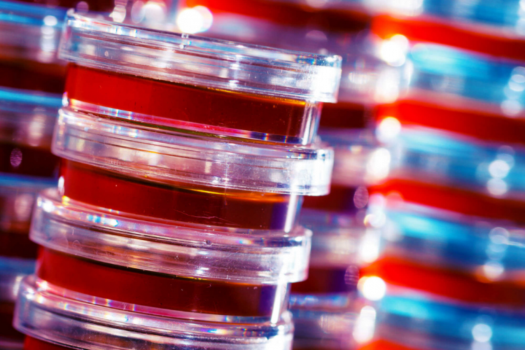 Микробиологи ФГБУ «Краснодарская МВЛ» приготовили 2947 литров питательных сред и буферных растворов с начала текущего года