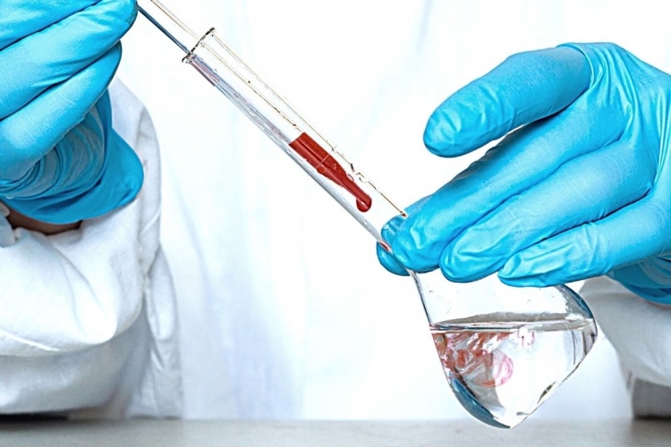 Специалисты отдела вирусологии, патоморфологии и ПЦР исследований успешно прошли сличительные испытания