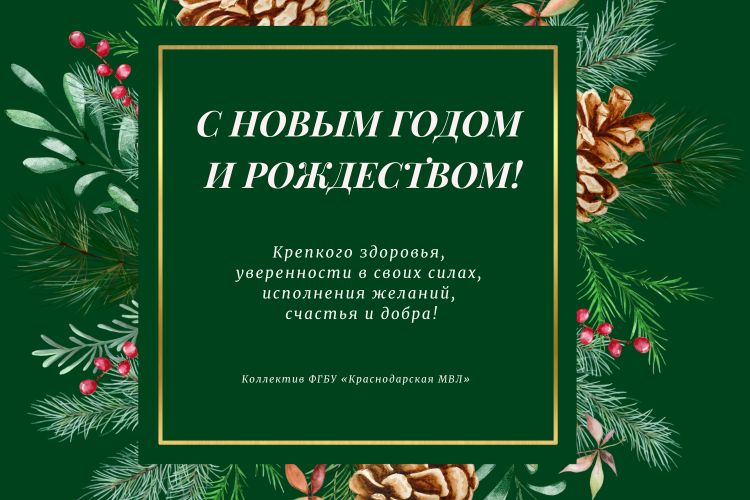 С Новым годом и Рождеством!