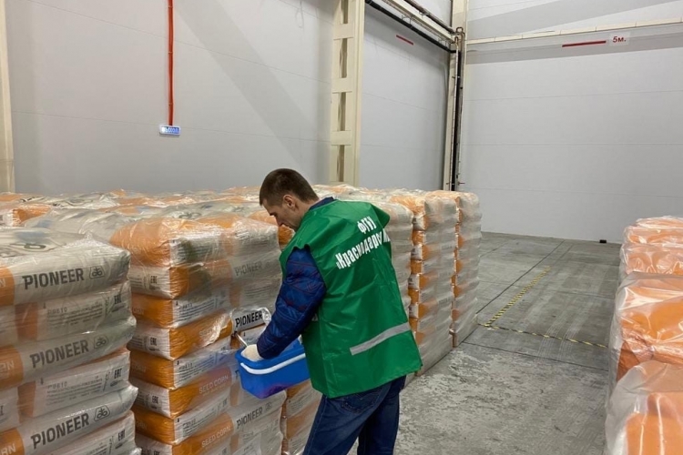С начала января в Краснодаре осмотрено 646,8 тонн импортного семенного материала