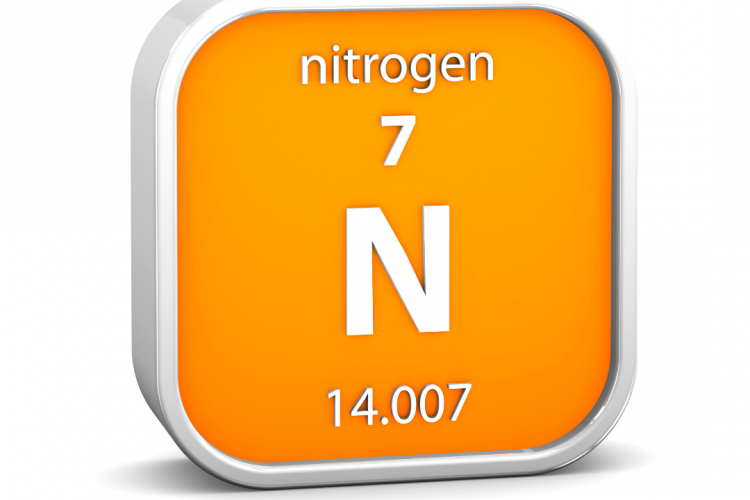 Азот в почве