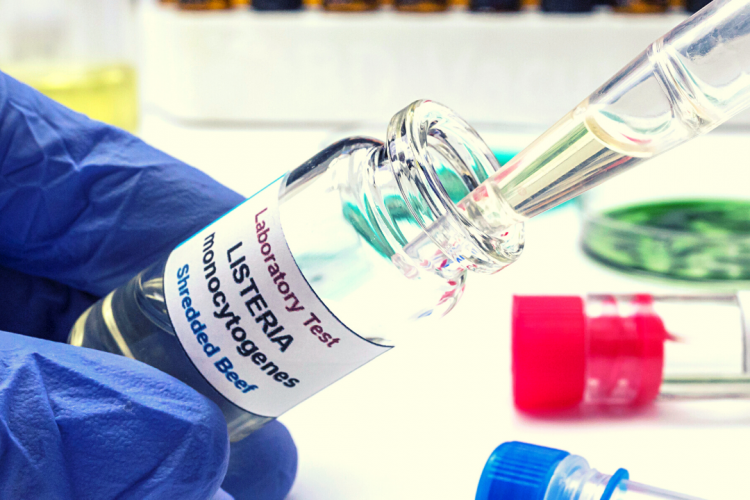 Listeria monocytogenes в мясе