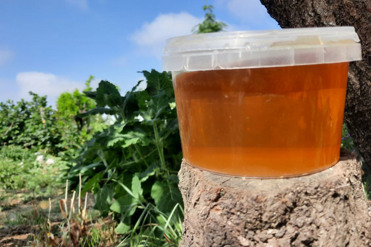 Специалистами ФГБУ «Краснодарская МВЛ» выявлено несоответствие в меде натуральном