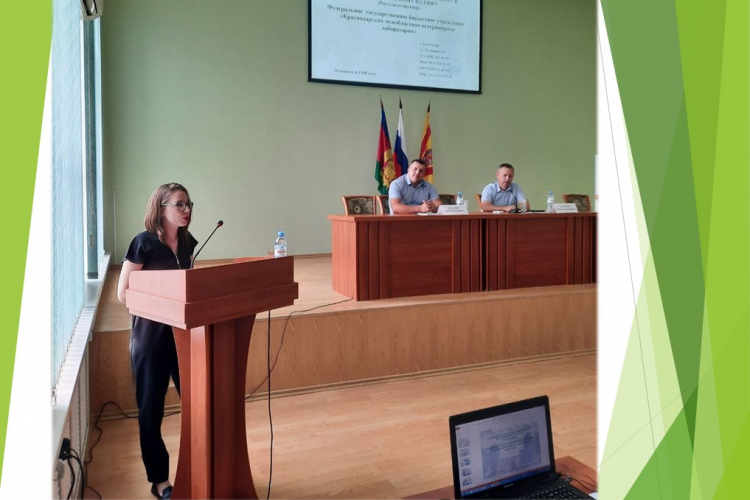 Тема, не теряющая актуальность