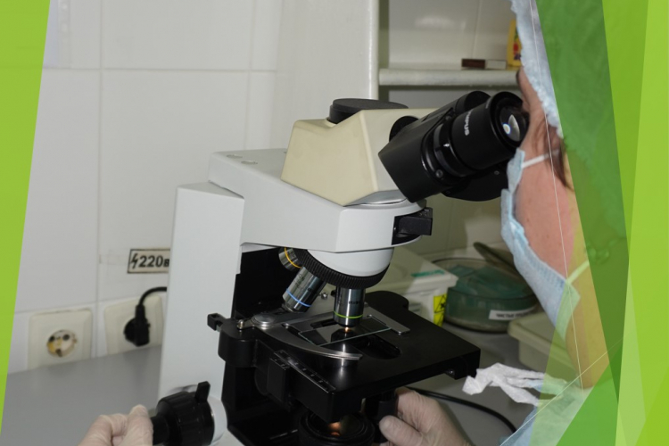 Туберкулез животных и птиц: диагностика методом ПЦР