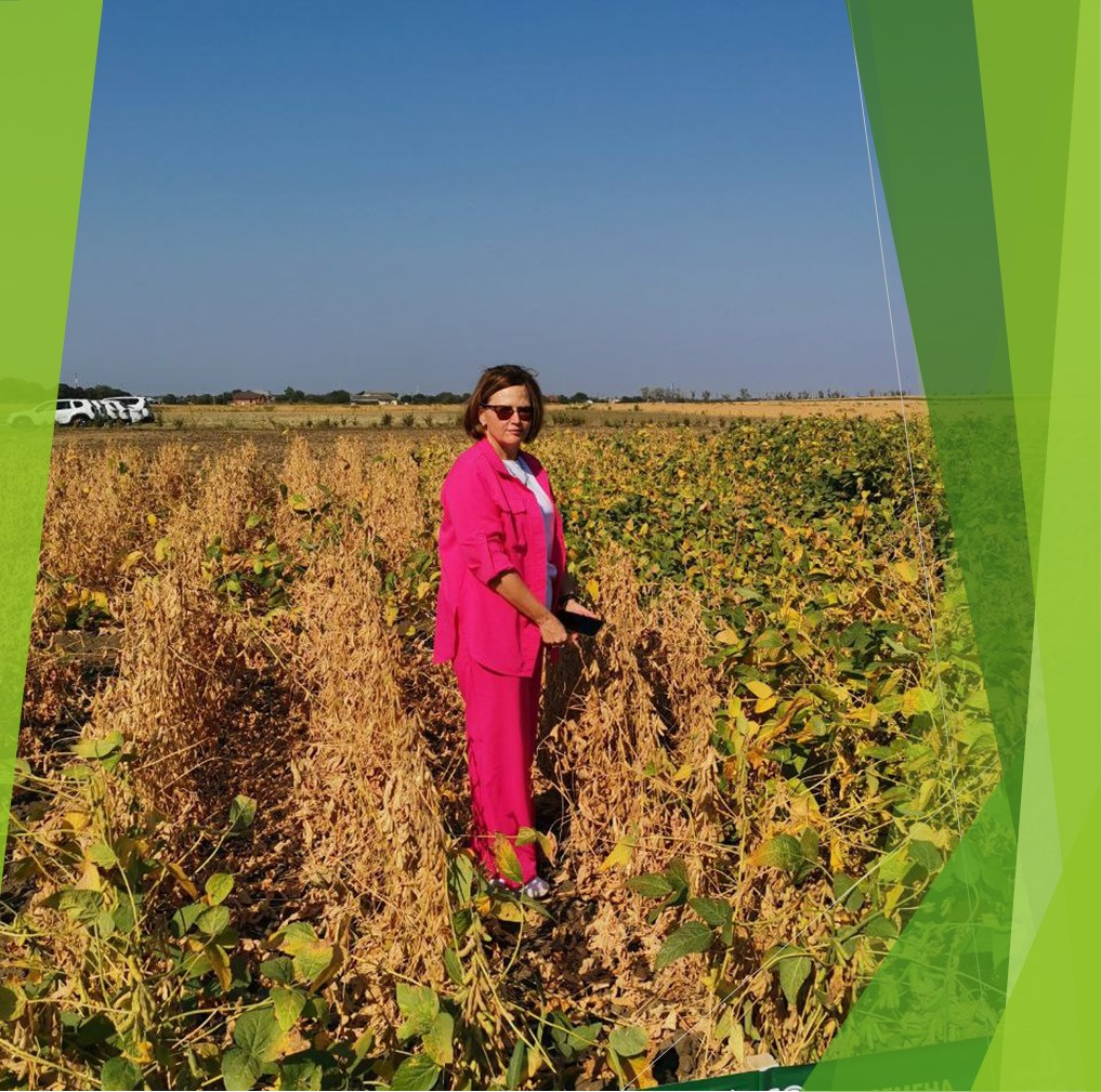 События » День соевого поля 2022