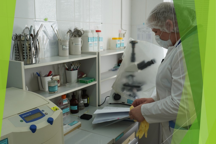 Судебно-ветеринарная экспертиза в ФГБУ «Краснодарская МВЛ»