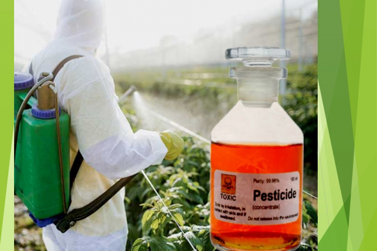 Проведена идентификация неизвестного препарата сельскохозяйственного назначения