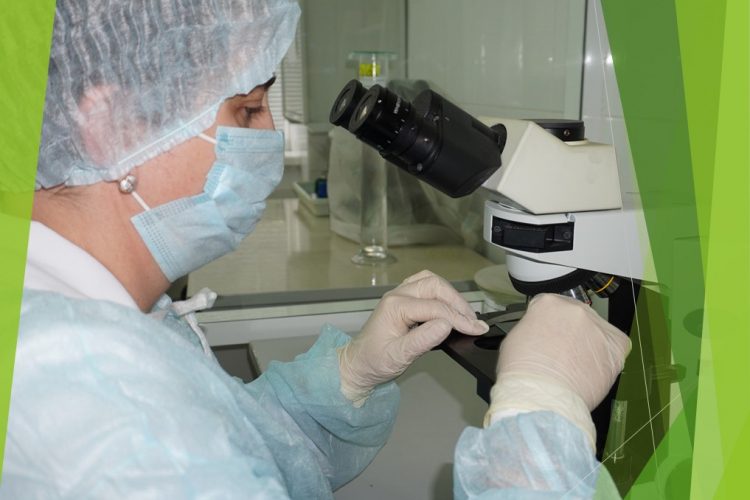 Бруцеллез продуктивных животных