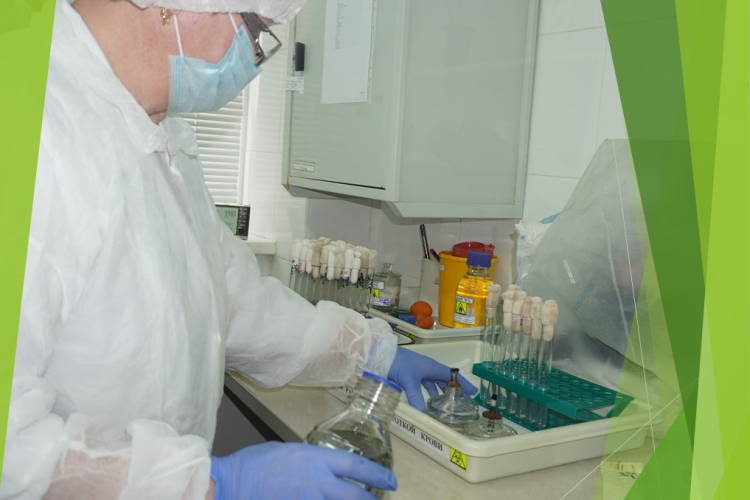 Серологическая, гематологическая и биохимическая диагностика в ФГБУ «Краснодарская МВЛ»