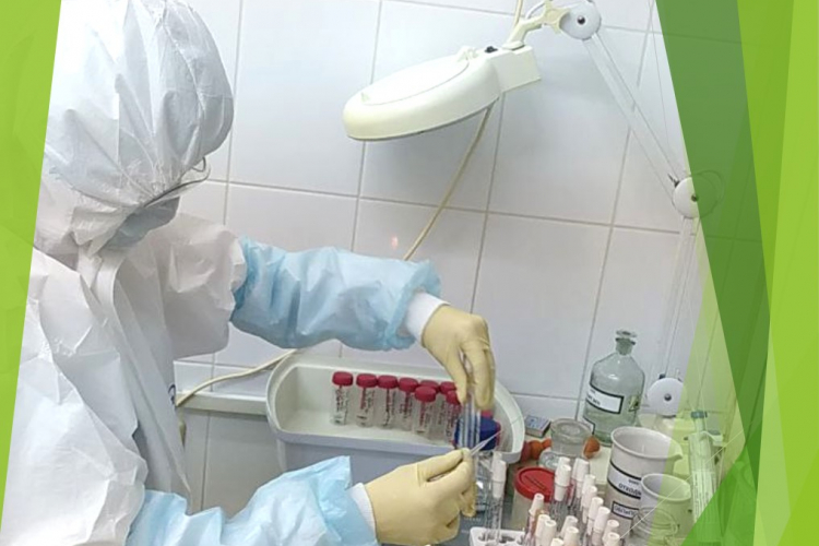 Специалисты ФГБУ «Краснодарская МВЛ» проводят исследование образцов почвы на сибирскую язву