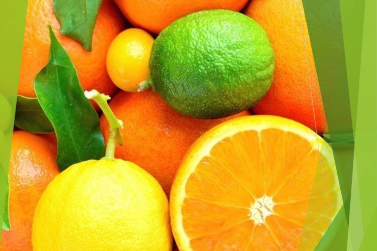 Лимоны, мандарины, зелень и цветы: что проверяют наши эксперты в Сочи