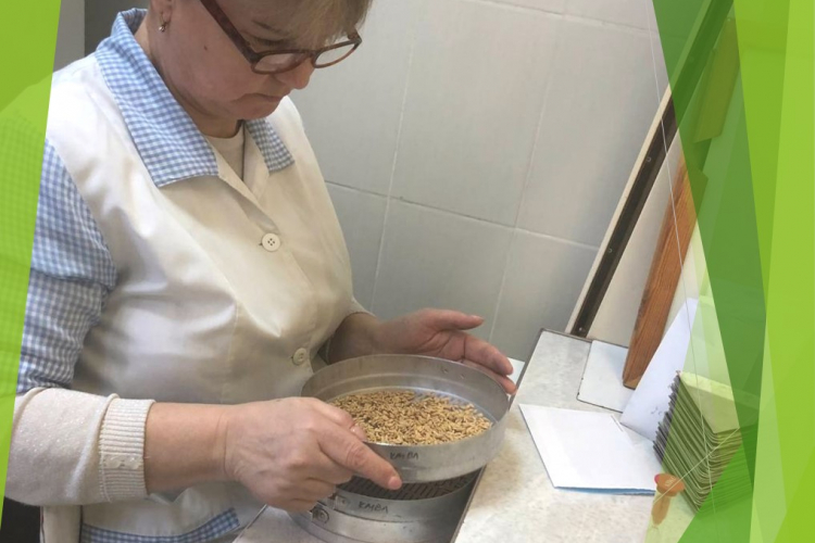 Когда профессия любимая, в ней интересно все!