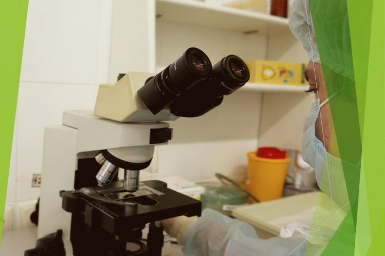 Испытательный центр ФГБУ «Краснодарская МВЛ» получил подтверждение расширения области аккредитации на 43 методики