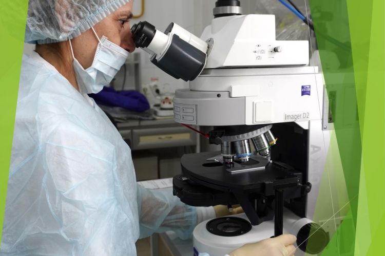 10 занимательных фактов о лаборатории