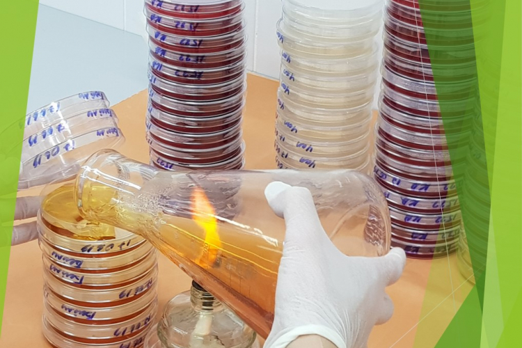 Качественные питательные среды – основа достоверности результатов микробиологических испытаний