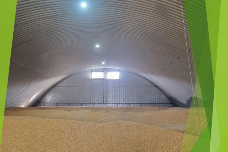 2800 тонн пшеницы проверили в Новокубанском отделении