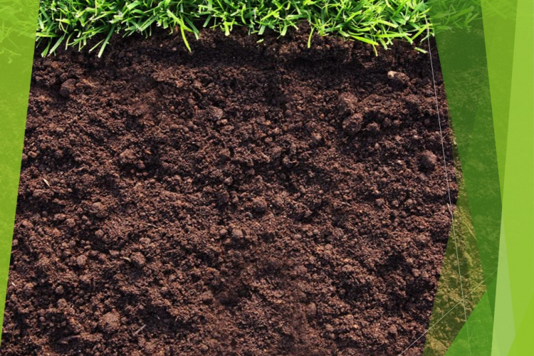 Более 1300 проб почвы проанализировано в Испытательном центре ФГБУ «Краснодарская МВЛ» с начала года