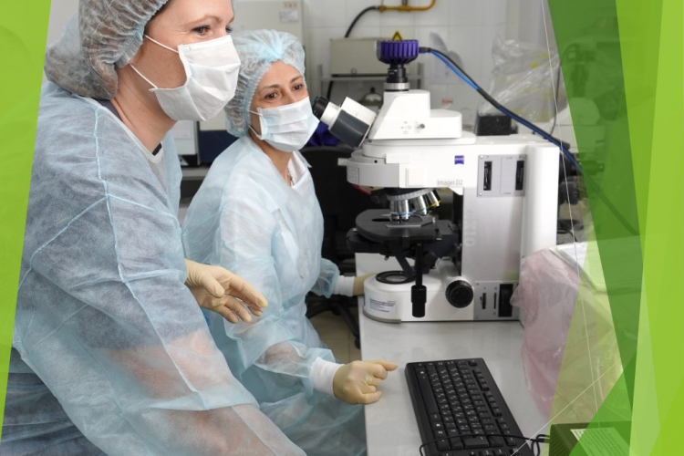 Диагностика: первый шаг на пути к лечению