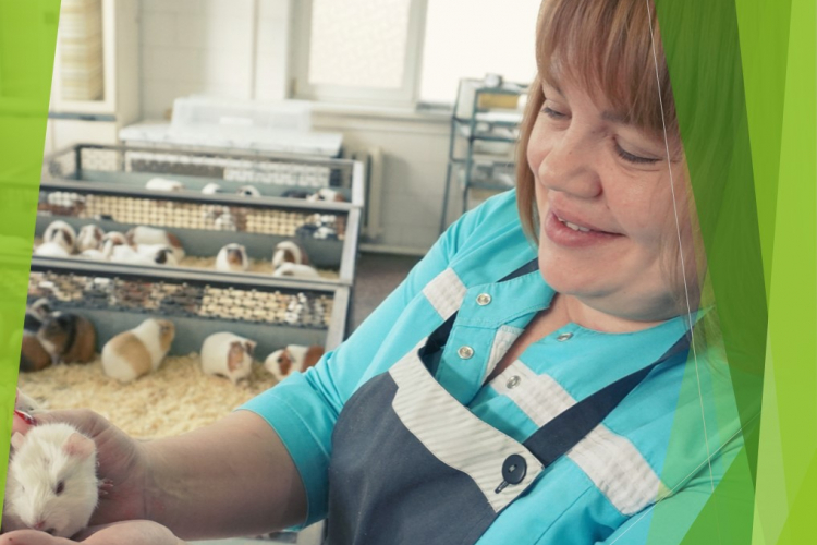 В виварии ФГБУ «Краснодарская МВЛ» впервые родились морские свинки – альбиносы