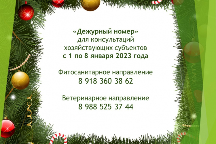 Номер дежурного жкх