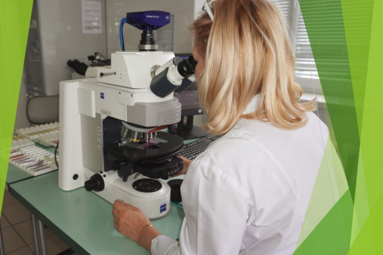 Сальмонеллы обнаружены в мясе птицы