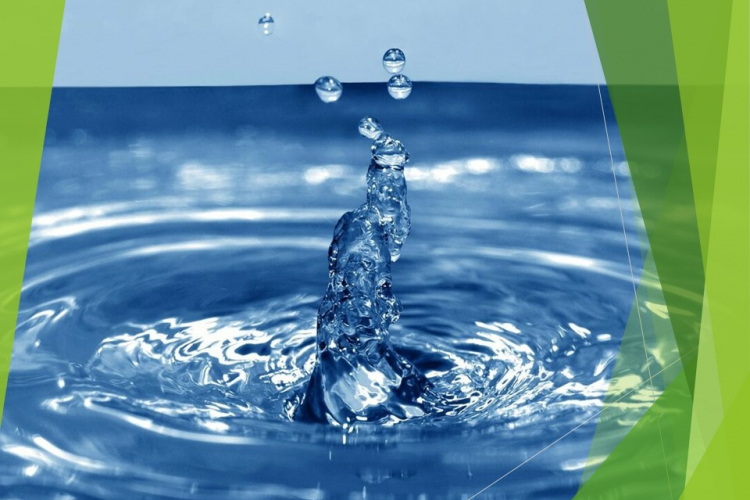 Общие колиформные бактерии (ОКБ) и E. coli обнаружены в питьевой воде