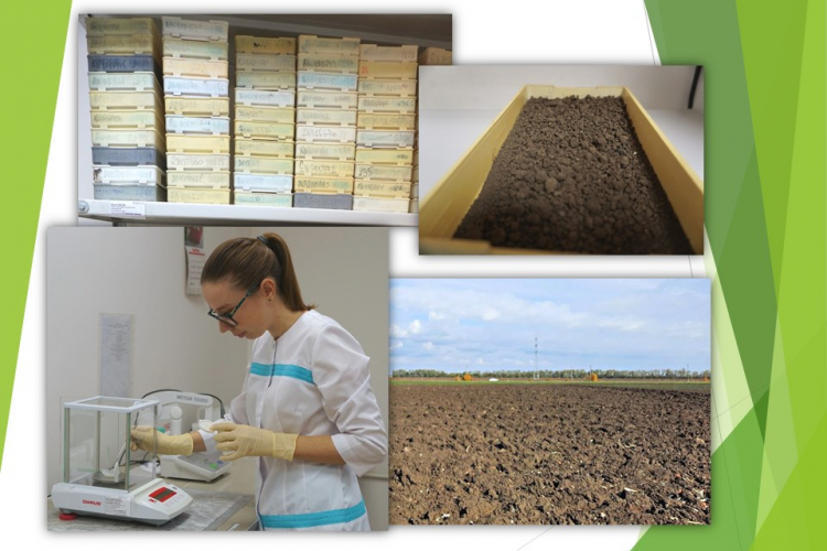 Засоление почв