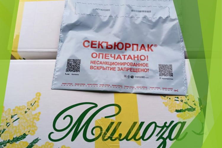 «Весенний цветок» – мимозу – проверяют специалисты Сочинского отделения