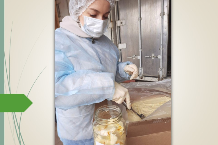 Отбор проб от спреда осуществили специалисты ФГБУ «Краснодарская МВЛ»