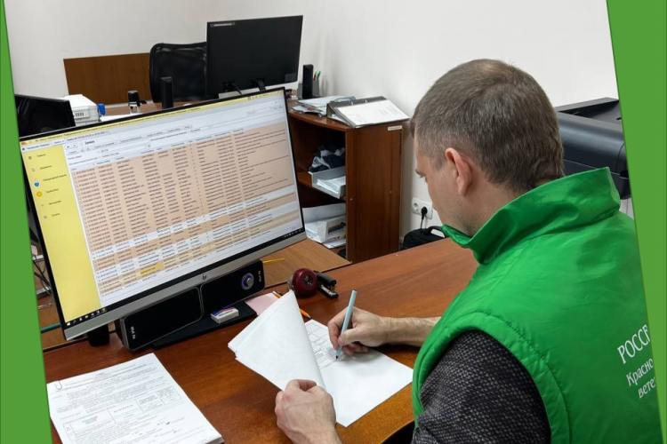 Свыше 13 тысяч заявок для получения услуг в области карантина растений подано в ФГБУ «Краснодарская МВЛ» при помощи ФГИС «Аргус-Лаборатория» с начала года