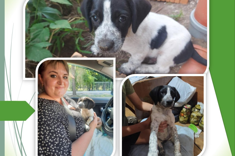 Делать добро просто